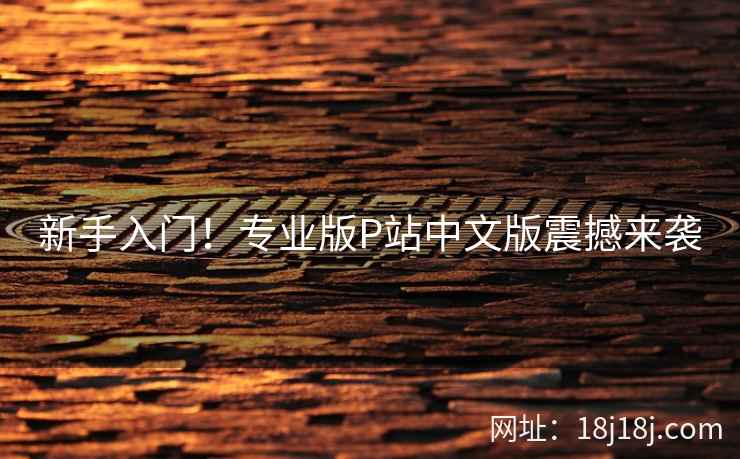 新手入门！专业版P站中文版震撼来袭