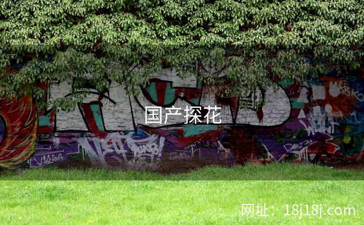 国产探花