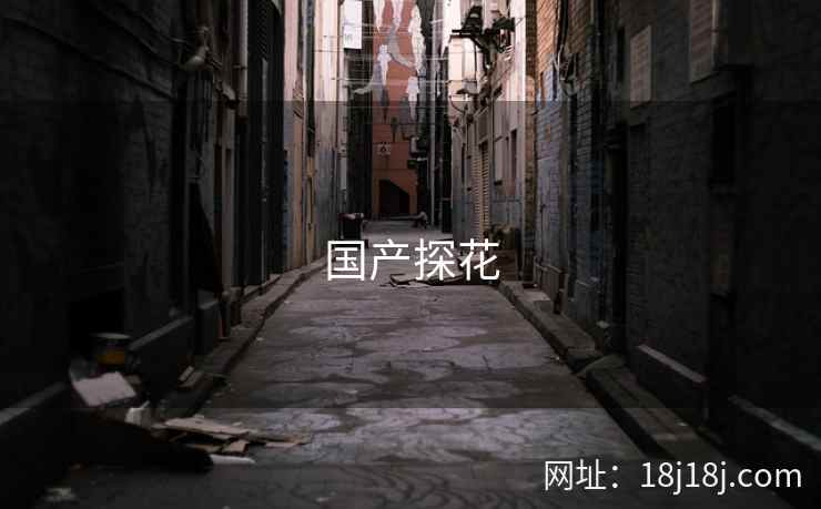 国产探花