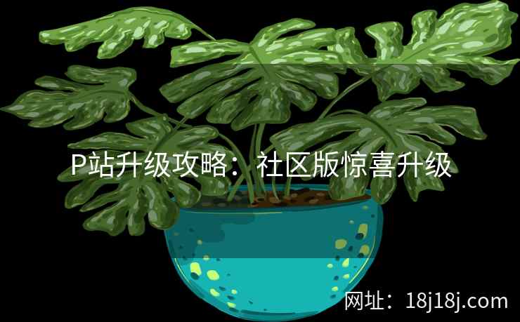 P站升级攻略：社区版惊喜升级