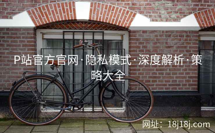 P站官方官网·隐私模式·深度解析·策略大全 P站官方官网·隐私模式·深度解析·策略大全