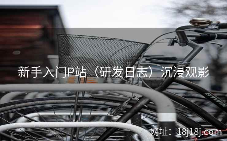新手入门P站(研发日志)沉浸观影 新手入门P站(研发日志)沉浸观影