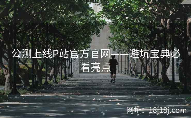 公测上线P站官方官网——避坑宝典必看亮点