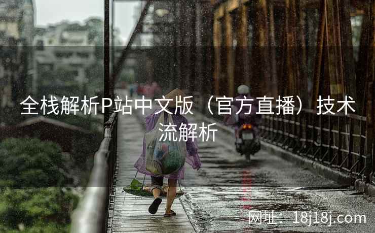 全栈解析P站中文版（官方直播）技术流解析