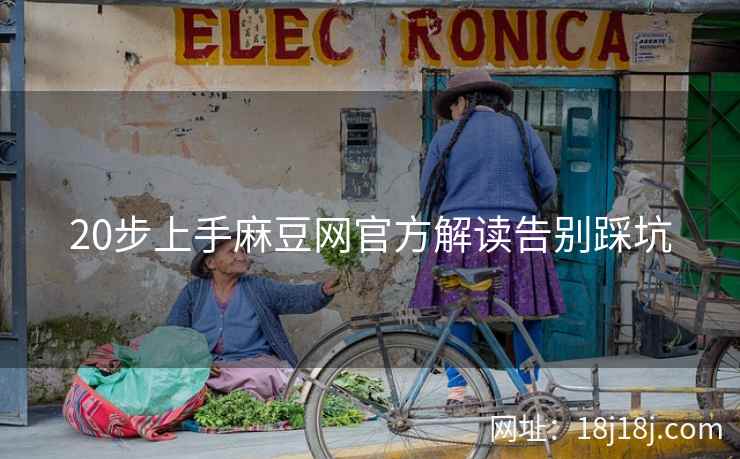 20步上手麻豆网官方解读告别踩坑
